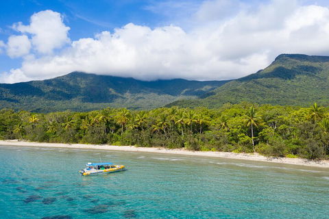 Ocean Safari Great Barrier Reef Experience In Cape Tribulation - Attractions Brisbane 2
