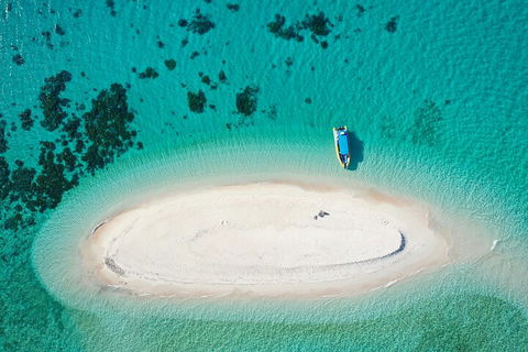 Ocean Safari Great Barrier Reef Experience In Cape Tribulation - Attractions Brisbane 3