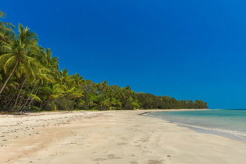 Ocean Safari Great Barrier Reef Experience In Cape Tribulation - Attractions Brisbane 4