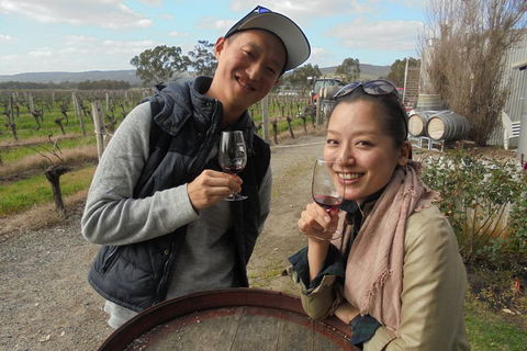Swan Valley River Cruise And Wine Tasting Day Trip From Perth - Attractions Brisbane 0