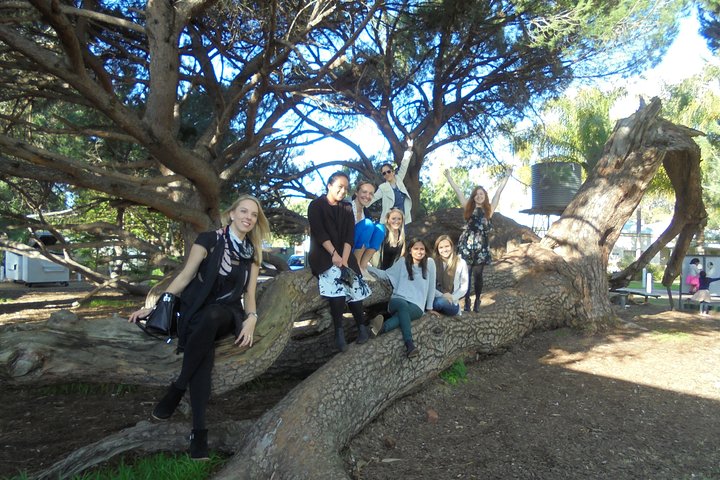  Attractions Brisbane