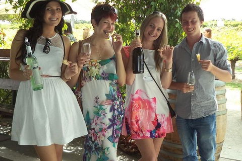 1/2 Day Swan Valley Wine Cheese & Chocolate Tour Inc Afternoon Cruise To Perth - Attractions Brisbane 4