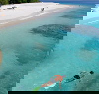 Fitzroy Island Day Trip from Cairns - Attractions Brisbane