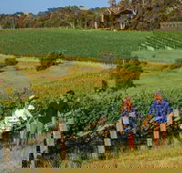 10 Day Perth to Adelaide Private Tour - The Great Australian Wilderness Journey - Attractions Brisbane
