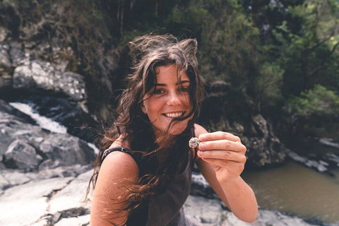 Springbrook AndTamborine Rainforest Tour Incl Natural Bridge And Glow Worm Cave - Attractions Brisbane 1