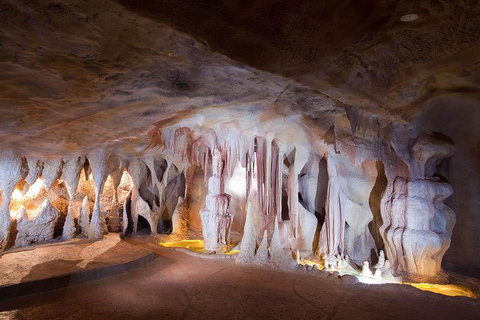 Springbrook AndTamborine Rainforest Tour Incl Natural Bridge And Glow Worm Cave - Attractions Brisbane 4