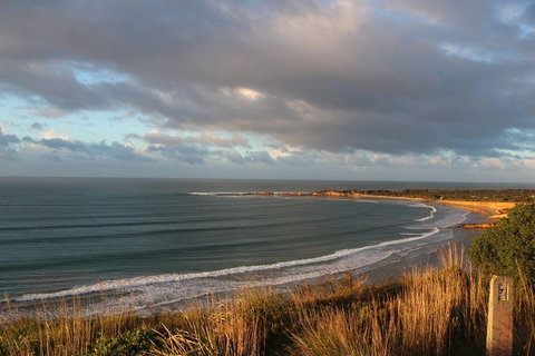 Private Great Ocean Road Day Tour With Early Departure & Early Return (11 Hours) - Attractions Brisbane 0