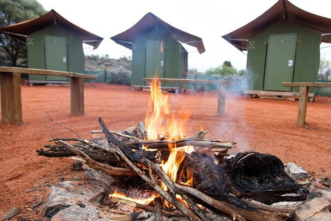 4 Day/3 Night Perentie Dreaming Safari - Attractions Brisbane 1