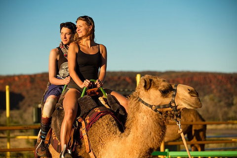 4 Day/3 Night Perentie Dreaming Safari - Attractions Brisbane 4