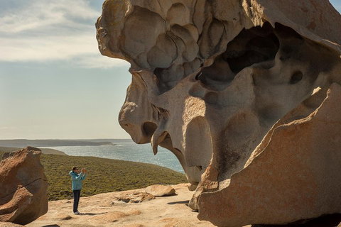 Kangaroo Island In A Day Tour From Adelaide - Attractions Brisbane 5