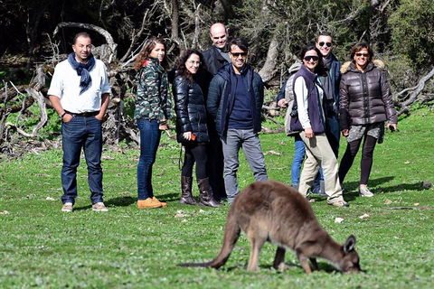 2-Day Kangaroo Island 4WD Small-Group Tour From Adelaide - Attractions Brisbane 1