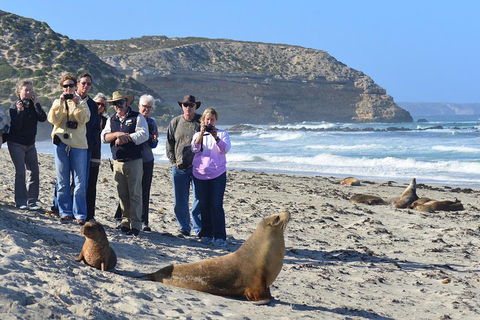 2-Day Kangaroo Island 4WD Small-Group Tour From Adelaide - Attractions Brisbane 3