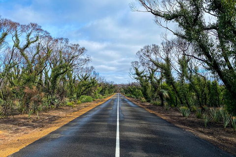 2 Day Ultimate Kangaroo Island With Return Ferry - Attractions Brisbane 4
