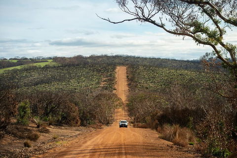 NEW TOUR - Kangaroo Island Road To Recovery Tour (1 Day/1 Night) - Attractions Brisbane 2