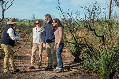NEW TOUR - Kangaroo Island Road To Recovery Tour (1 Day/1 Night) - Attractions Brisbane 4
