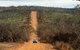 Full Day Flinders Chase Tour From Kangaroo Island - thumb 4