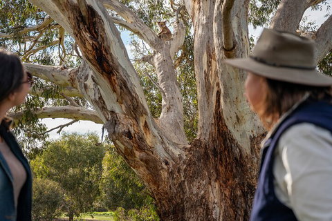 Full Day Flinders Chase Tour From Kangaroo Island - Attractions Brisbane 5