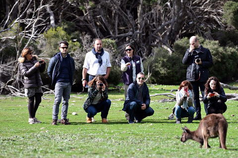 Small-Group Kangaroo Island 4WD Tour From Adelaide - Attractions Brisbane 2