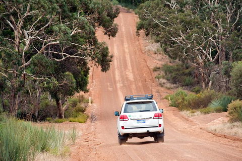 Small-Group Kangaroo Island 4WD Tour From Adelaide - Attractions Brisbane 3
