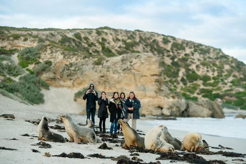 Small-Group Kangaroo Island 4WD Tour From Adelaide - Attractions Brisbane 4