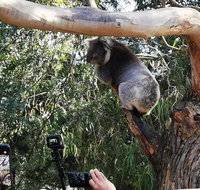 Small-Group Great Ocean Road Day Trip from Melbourne - Attractions Brisbane