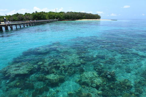 Cairns City Sights And Surrounds Tour - Attractions Brisbane 1