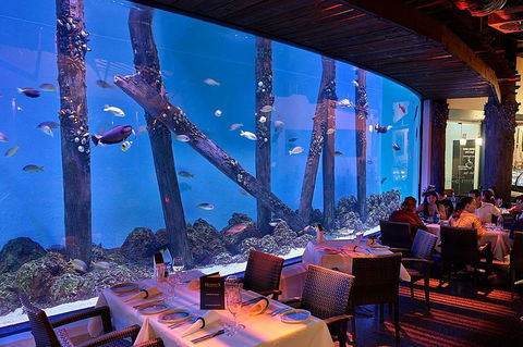 Cairns Aquarium And Small Group City Sightseeing Tour - Attractions Brisbane 4