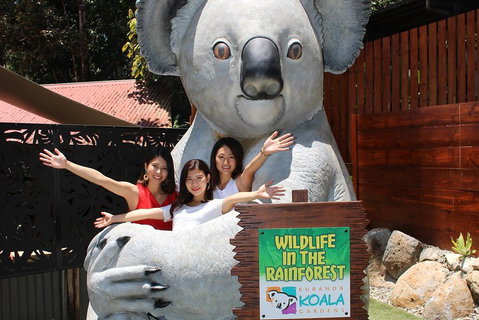 Kuranda Koala Gardens And Birdworld Admission Tickets - Attractions Brisbane 3