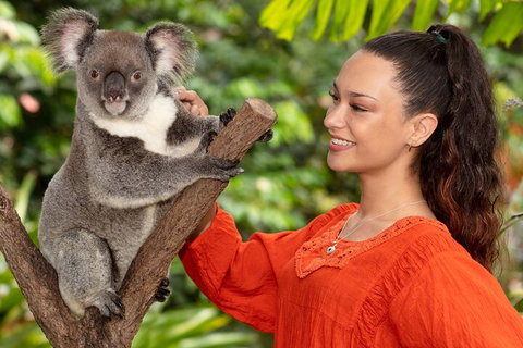 Kuranda Wildlife Experience Three Attraction Pass - Attractions Brisbane 4