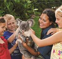 Kuranda Koala Gardens General Entry Ticket - Attractions Brisbane
