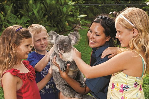 Kuranda Koala Gardens General Entry Ticket - Attractions Brisbane 0