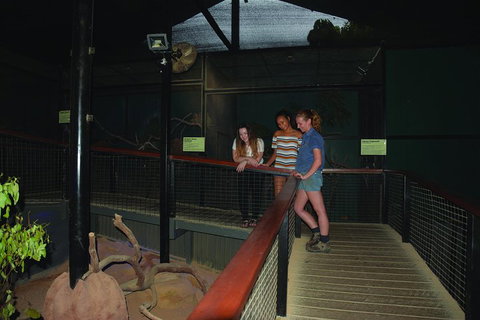 Kuranda Koala Gardens General Entry Ticket - Attractions Brisbane 2