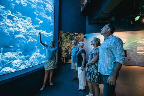 Cairns Aquarium By Twilight With 3-Course Dinner - Attractions Brisbane 1