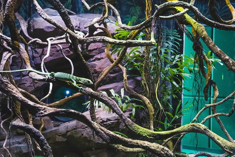 Cairns Aquarium By Twilight With 3-Course Dinner - Attractions Brisbane 2
