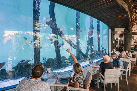 Cairns Aquarium Tour By Twilight With Drink And Appetiser - Attractions Brisbane 3