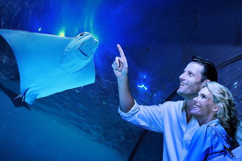 Cairns Aquarium Tour By Twilight With Drink And Appetiser - Attractions Brisbane 4