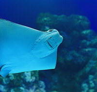 Cairns Aquarium Family Ticket - Attractions Brisbane