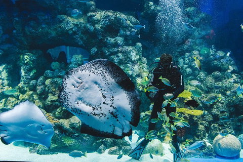Cairns Aquarium Family Ticket - Attractions Brisbane 4