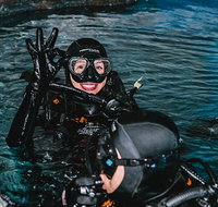 Cairns Aquarium Dive with the Sharks - Attractions Brisbane