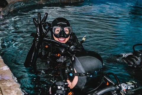 Cairns Aquarium Dive With The Sharks - Attractions Brisbane 0