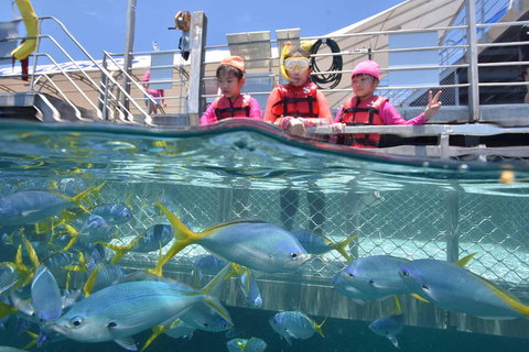 Outer Reef Pontoon Experience From Cairns - Attractions Brisbane 0