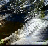 Cradle Mountain Day Tour from Launceston Including Lunch - Attractions Brisbane