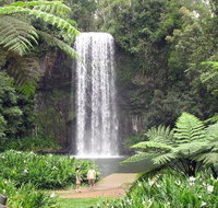 Private Daintree and Cape Tribulation Tour from Port Douglas - Attractions Brisbane