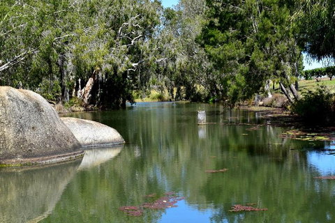 Private Daintree And Cape Tribulation Tour From Port Douglas - Attractions Brisbane 3