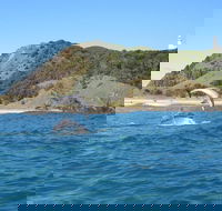 Kayaking with Dolphins in Byron Bay Guided Tour - Attractions Brisbane