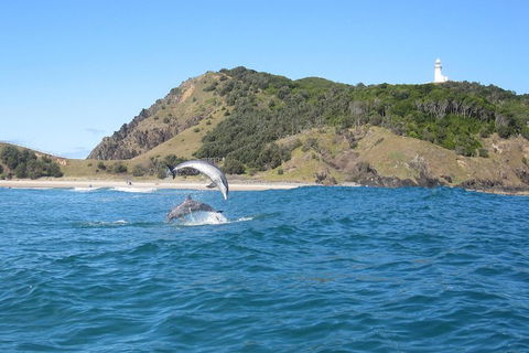 Kayaking With Dolphins In Byron Bay Guided Tour - Attractions Brisbane 0