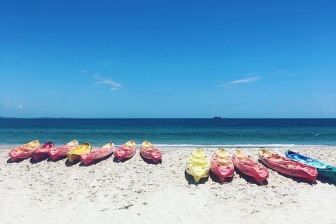 Kayaking With Dolphins In Byron Bay Guided Tour - Attractions Brisbane 1