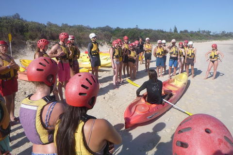 Kayaking With Dolphins In Byron Bay Guided Tour - Attractions Brisbane 2