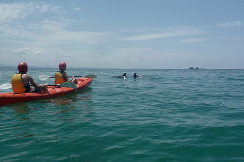 Kayaking With Dolphins In Byron Bay Guided Tour - Attractions Brisbane 4
