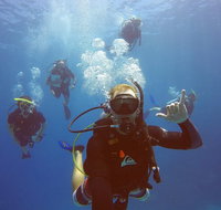 12-Day Great Barrier Reef Marine Conservation Program from Cairns - Attractions Brisbane